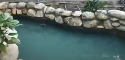 Khu Thới Nhựt Cần Thơ